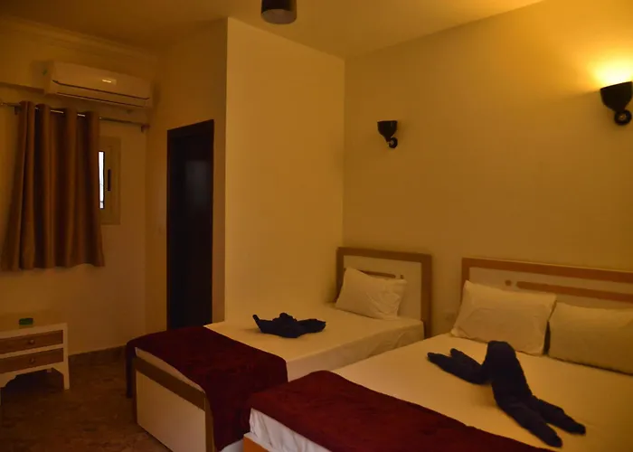 Hotel Brother 3*